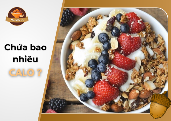 1 bịch ngũ cốc dinh dưỡng bao nhiêu calo