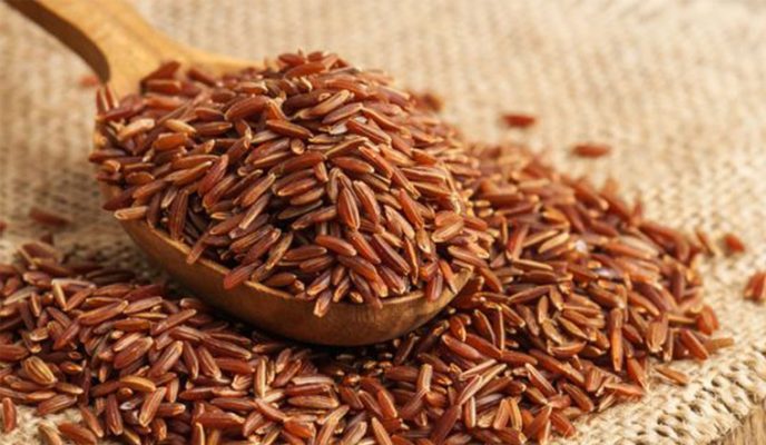 hạt gạo lứt có tác dụng gì