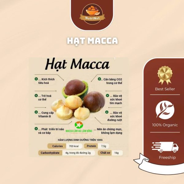 Hạt Macca – “Nữ hoàng” của các loại hạt - Hình ảnh 3