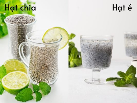 Hạt chia có giống hạt é không? So sánh chi tiết