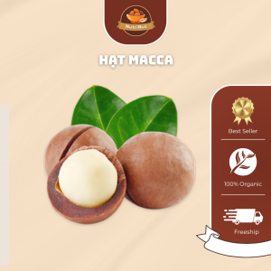 Hạt Macca – Loại hạt giàu dinh dưỡng cho sức khỏe