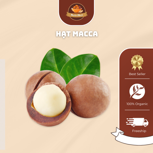 Hạt Macca – Loại hạt giàu dinh dưỡng cho sức khỏe