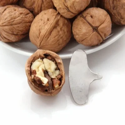Hạt óc chó có tác dụng gì? 6 công dụng bất ngờ khiến ai cũng nên dùng mỗi ngày