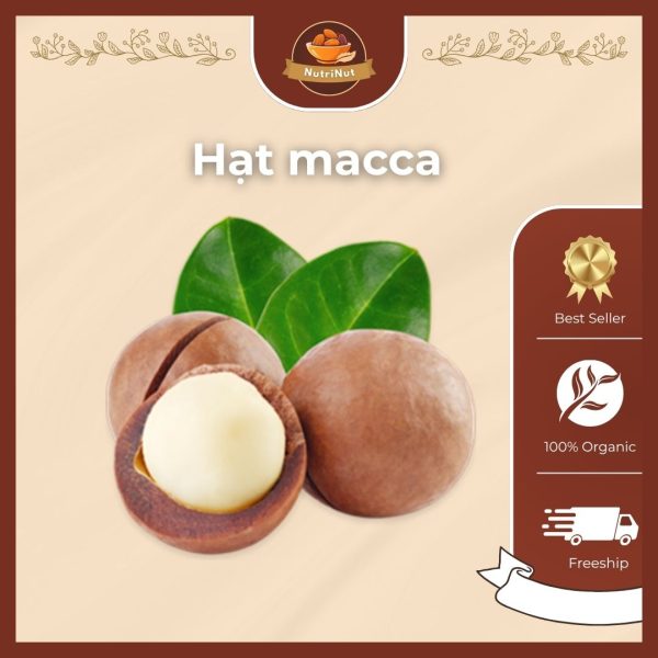 Hạt Macca – Loại hạt giàu dinh dưỡng cho sức khỏe