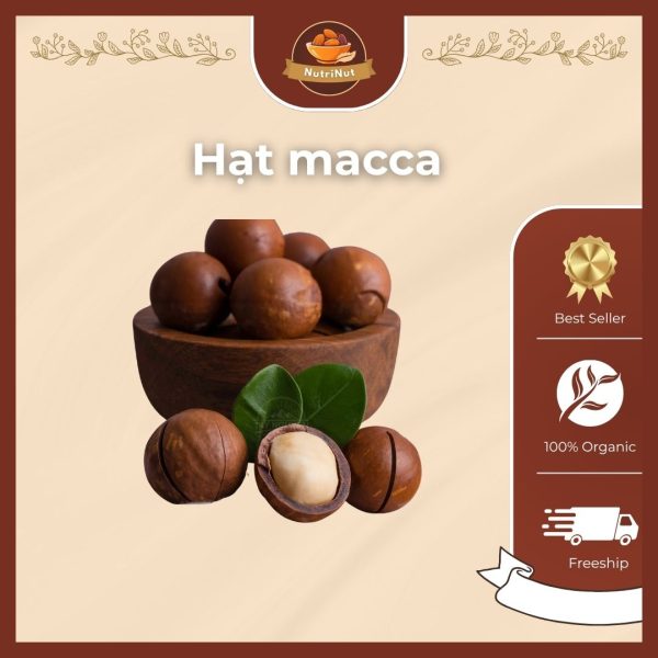 Hạt Macca – Hạt dinh dưỡng cao cấp cho sức khỏe