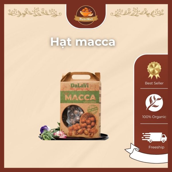 Hạt Macca – Tinh hoa từ thiên nhiên cho sức khỏe vàng