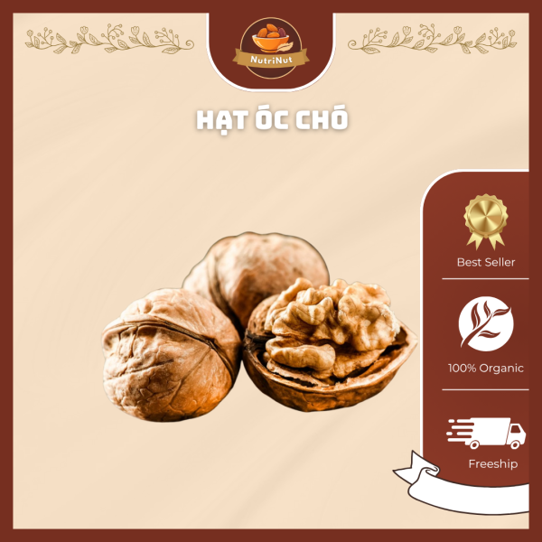 Nutrinut hạt óc chó