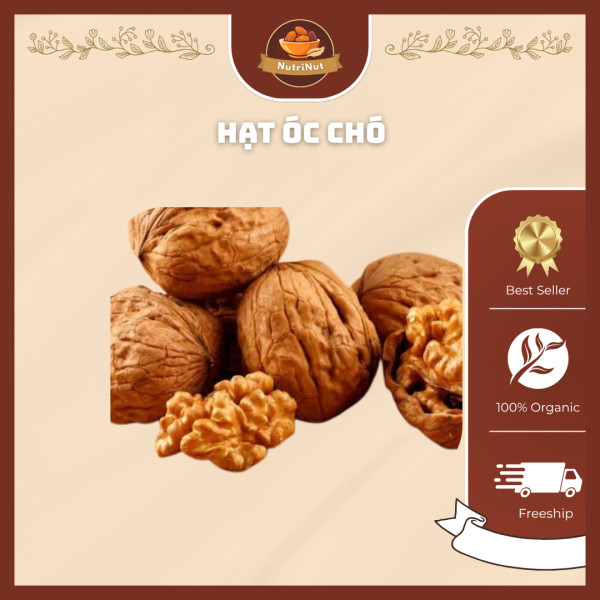 Nutrinut hạt óc chó