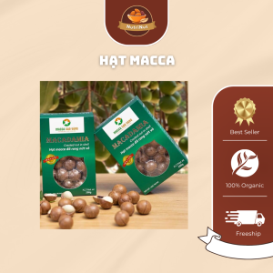 Hạt Macca – Hạt dinh dưỡng cao cấp cho sức khỏe