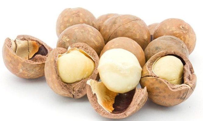 Lợi ích của hạt Macca
