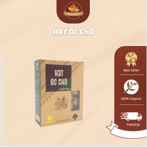 Hạt Óc Chó Hữu Cơ – Siêu Thực Phẩm Dinh Dưỡng Cho Mọi Nhà