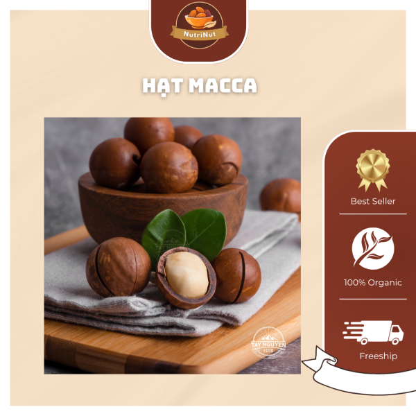 Hạt Macca – Tinh hoa từ thiên nhiên cho sức khỏe vàng - Hình ảnh 2
