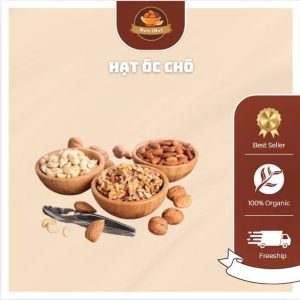 Hạt Óc Chó Tươi, Giàu Dinh Dưỡng – Bổ Sung Omega 3 Cho Người Ăn Chay