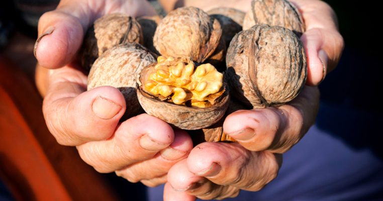 10 cách dùng hạt óc chó