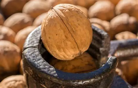 Hình 4 : Hạt óc chó chưa bao nhiêu calo