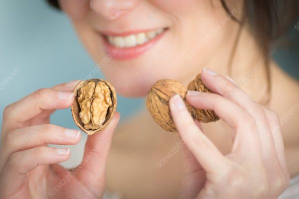 Hình 1 : Ăn quả óc chó